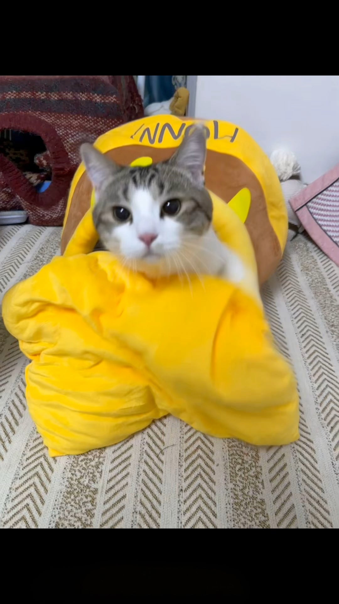 🍯【Honey Jar Pet Bed】Plush High Borders for Ultimate Warmth - A Sweet Sanctuary for Your Furry Friend