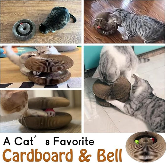 🔥50% off— free bell🎁 Magic Organ Cat Scratching Post