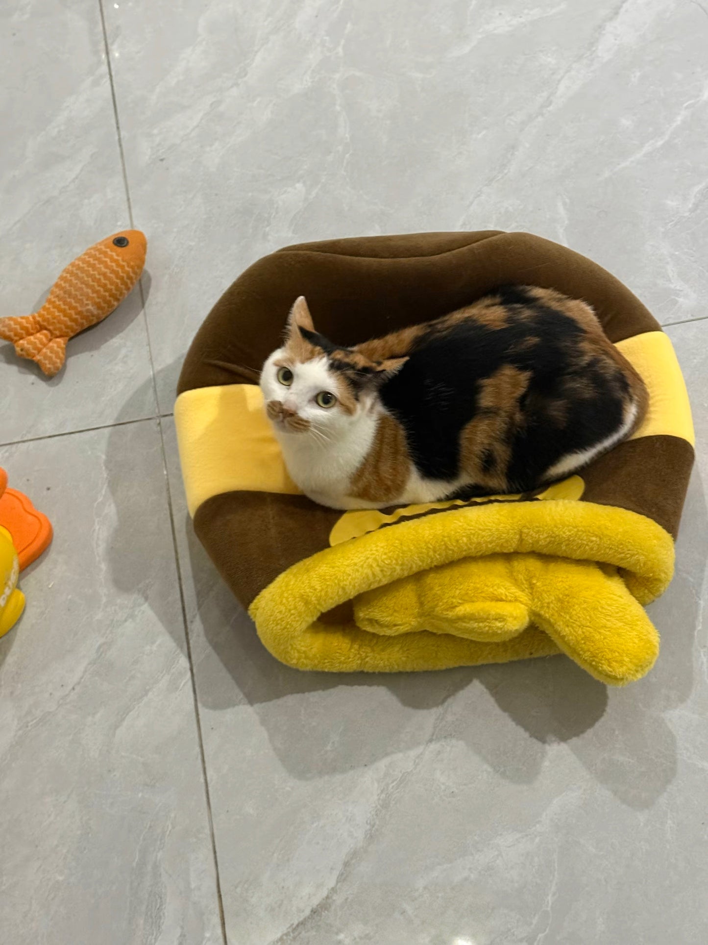 🍯【Honey Jar Pet Bed】Plush High Borders for Ultimate Warmth - A Sweet Sanctuary for Your Furry Friend