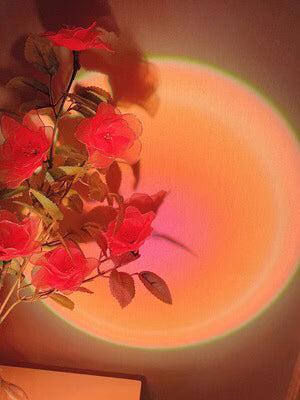 Trendy Sunset Projector Photo Light