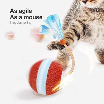 😍Limited-time 40% discount😍 Interactive Cat Toys for Indoor Cats