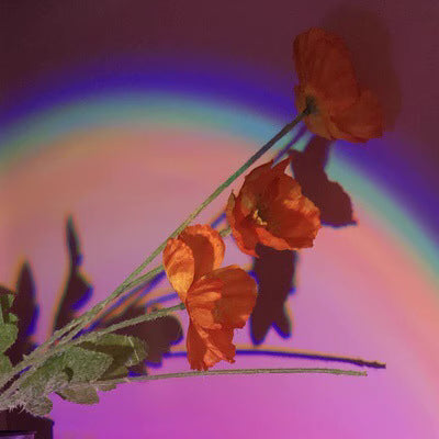 Trendy Sunset Projector Photo Light