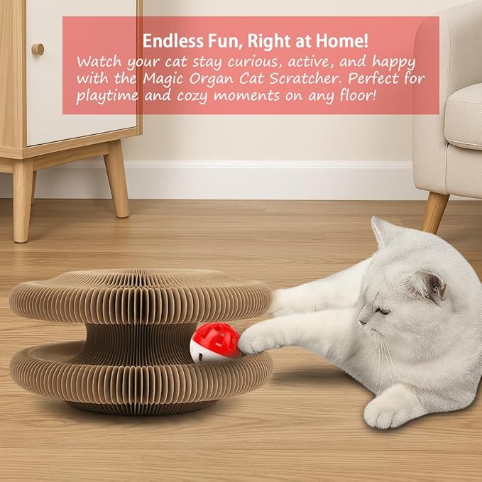 🔥50% off— free bell🎁 Magic Organ Cat Scratching Post