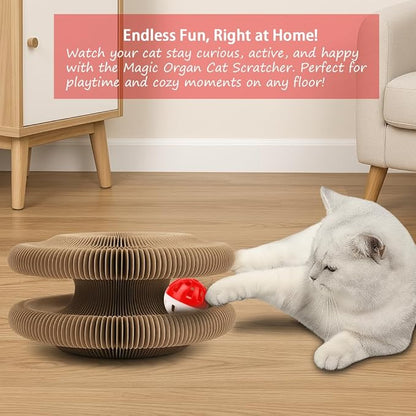 🔥50% off— free bell🎁 Magic Organ Cat Scratching Post