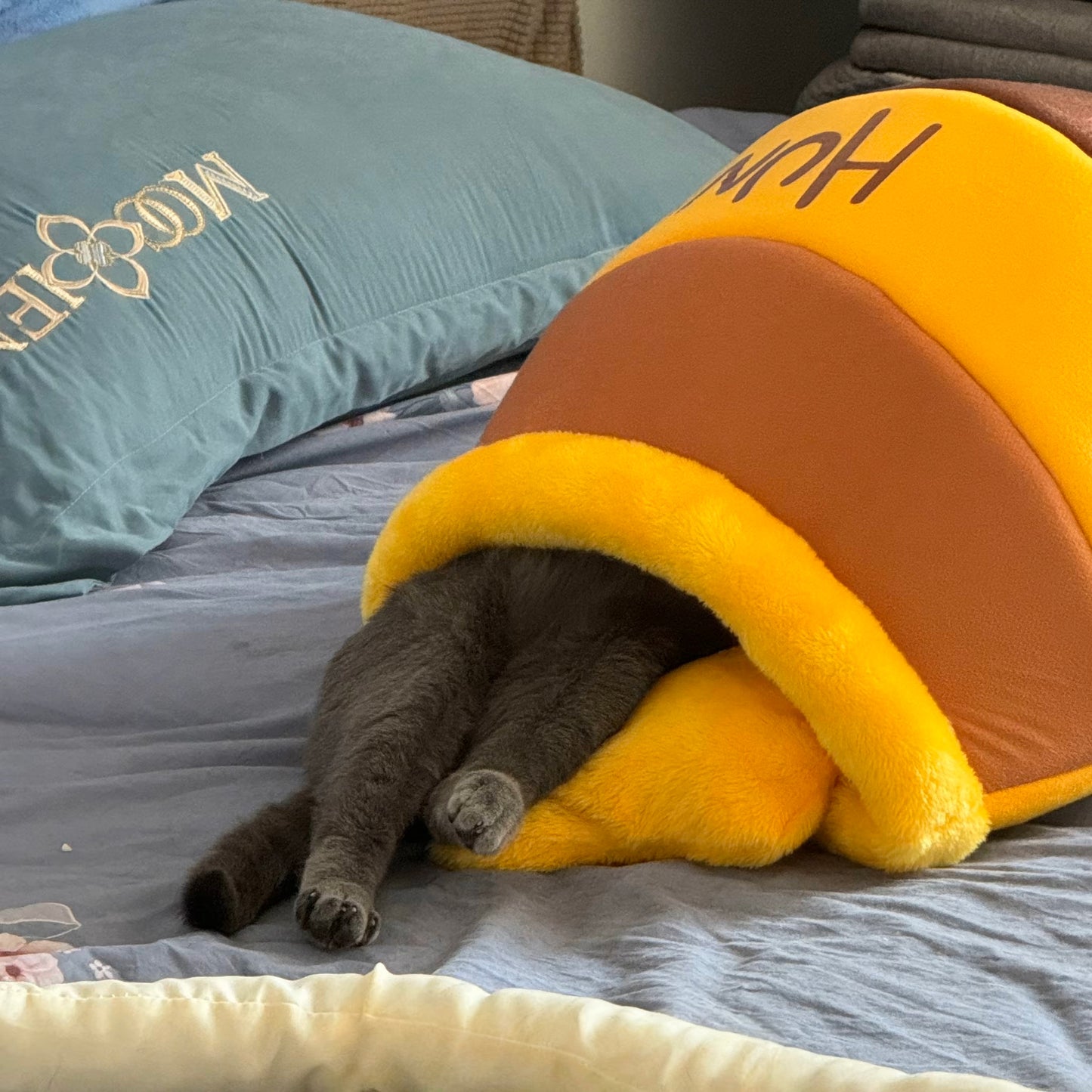 🍯【Honey Jar Pet Bed】Plush High Borders for Ultimate Warmth - A Sweet Sanctuary for Your Furry Friend