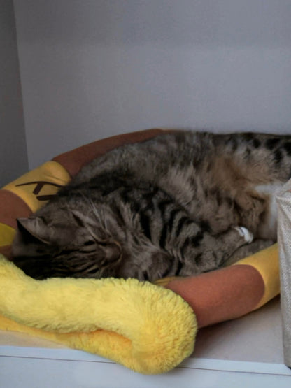 🍯【Honey Jar Pet Bed】Plush High Borders for Ultimate Warmth - A Sweet Sanctuary for Your Furry Friend