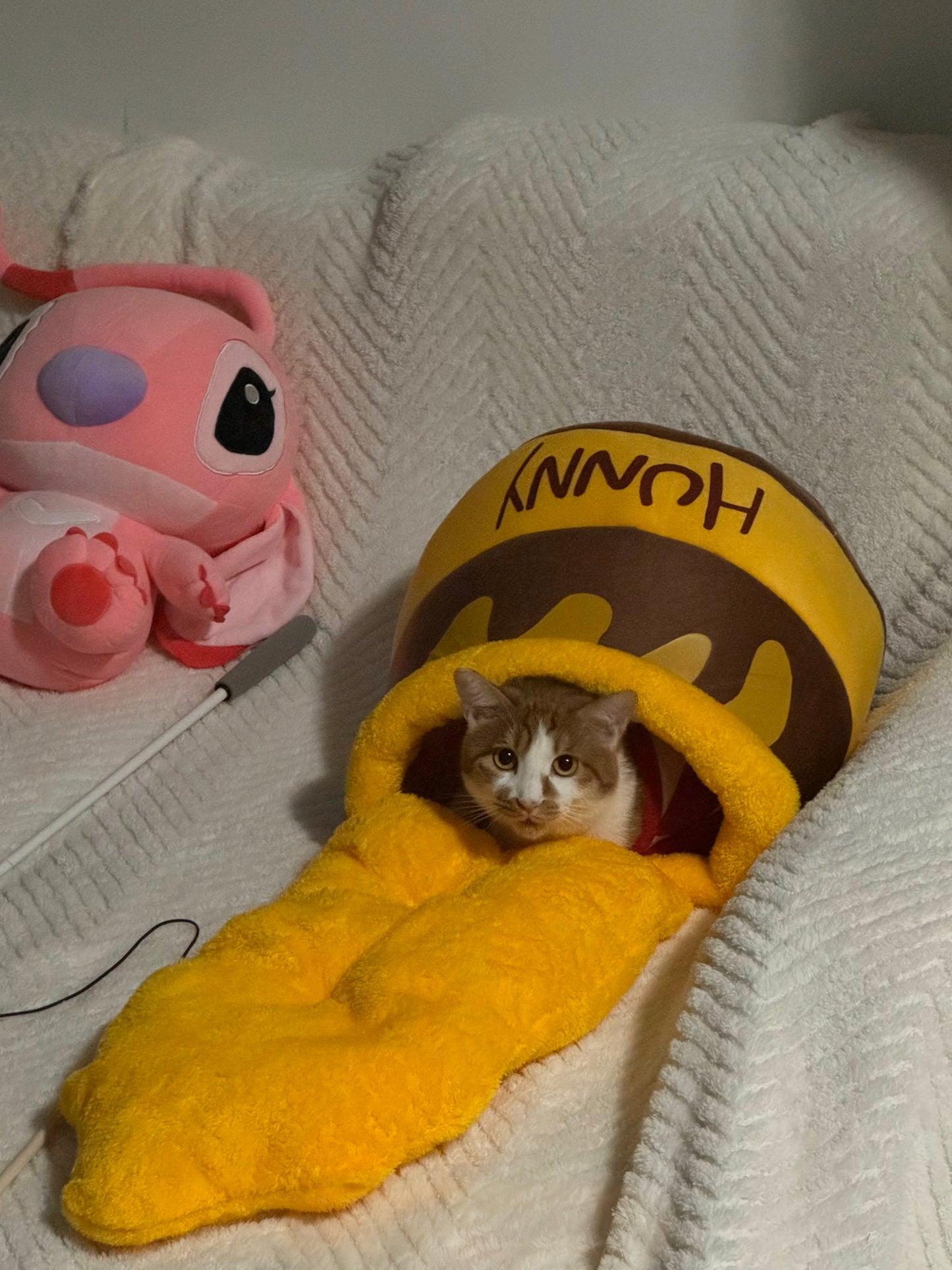 🍯【Honey Jar Pet Bed】Plush High Borders for Ultimate Warmth - A Sweet Sanctuary for Your Furry Friend