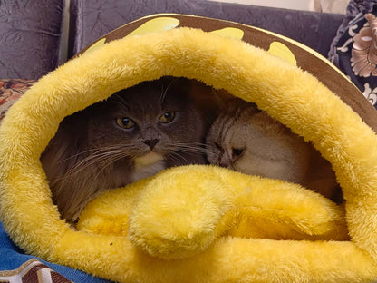 🍯【Honey Jar Pet Bed】Plush High Borders for Ultimate Warmth - A Sweet Sanctuary for Your Furry Friend