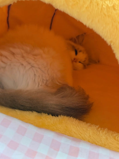 🍯【Honey Jar Pet Bed】Plush High Borders for Ultimate Warmth - A Sweet Sanctuary for Your Furry Friend